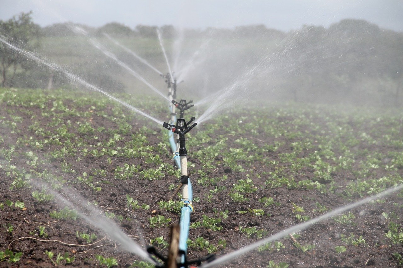 water field